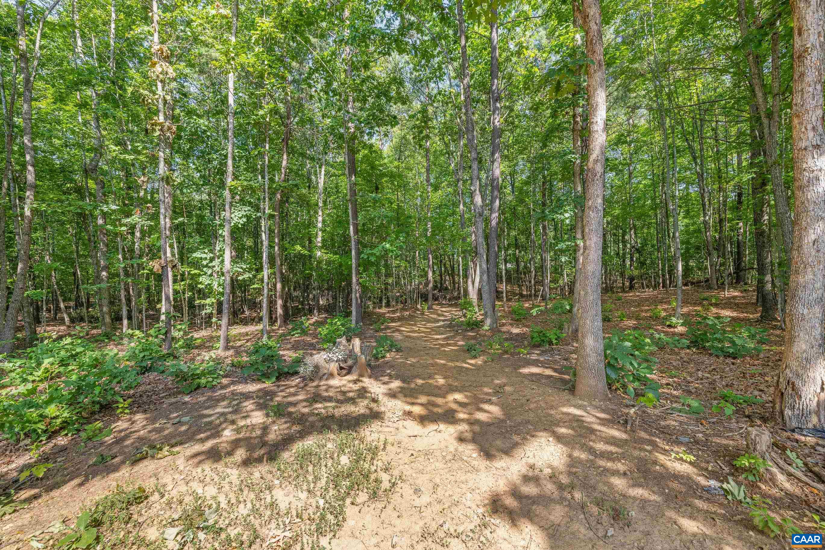 306 ROSEWOOD DR, SCOTTSVILLE, Virginia 24590, 3 Bedrooms Bedrooms, ,2 BathroomsBathrooms,Residential,306 ROSEWOOD DR,679210 MLS # 679210 306 ROSEWOOD DR, SCOTTSVILLE, Virginia 24590, 3 Bedrooms Bedrooms, ,2 BathroomsBathrooms,Residential,306 ROSEWOOD DR,679210 MLS # 679210