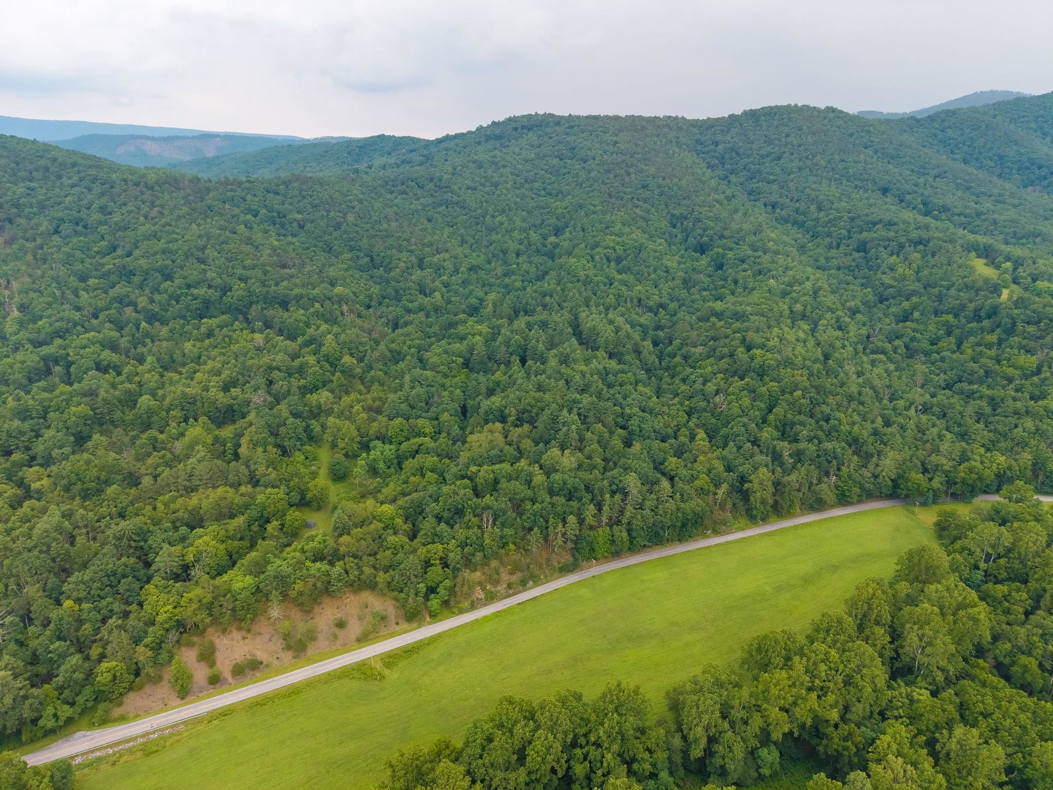 TBD CRIDERS RD, BERGTON, Virginia 22811, ,Farm,TBD CRIDERS RD,679349 MLS # 679349 TBD CRIDERS RD, BERGTON, Virginia 22811, ,Farm,TBD CRIDERS RD,679349 MLS # 679349