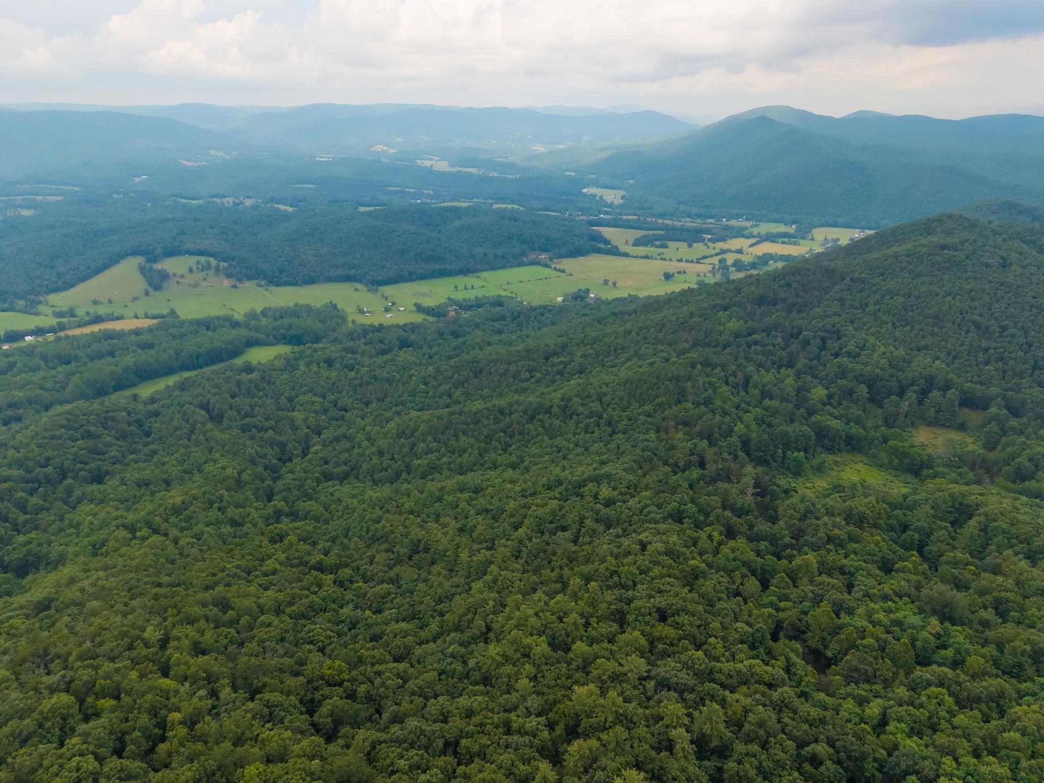 TBD CRIDERS RD, BERGTON, Virginia 22811, ,Farm,TBD CRIDERS RD,679349 MLS # 679349 TBD CRIDERS RD, BERGTON, Virginia 22811, ,Farm,TBD CRIDERS RD,679349 MLS # 679349