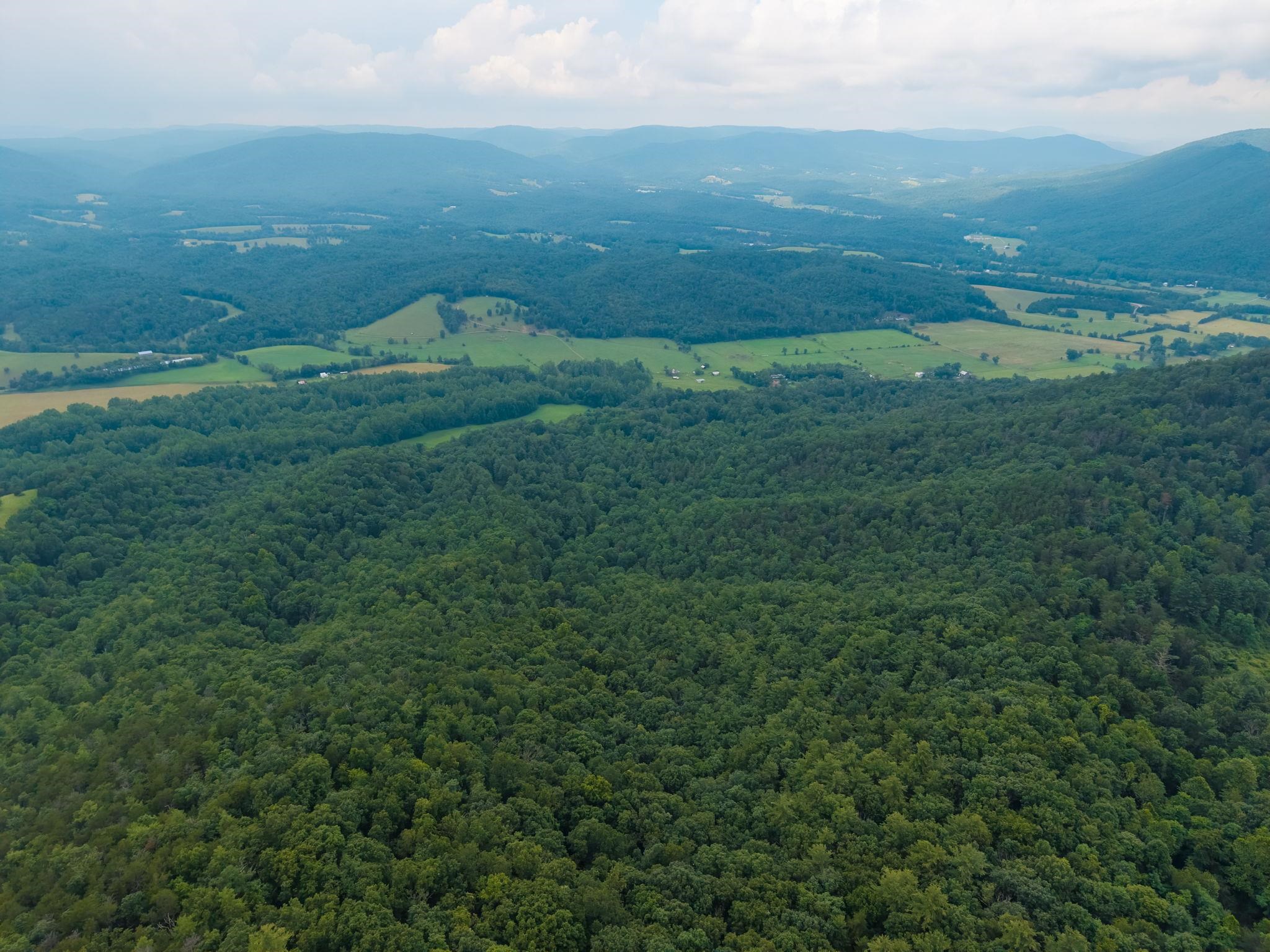 TBD CRIDERS RD, BERGTON, Virginia 22811, ,Farm,TBD CRIDERS RD,679349 MLS # 679349 TBD CRIDERS RD, BERGTON, Virginia 22811, ,Farm,TBD CRIDERS RD,679349 MLS # 679349