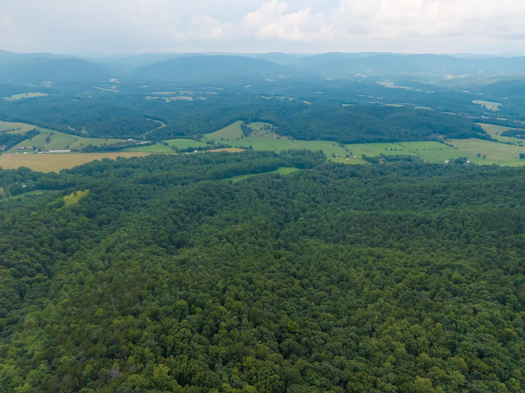TBD CRIDERS RD, BERGTON, Virginia 22811, ,Farm,TBD CRIDERS RD,679349 MLS # 679349 TBD CRIDERS RD, BERGTON, Virginia 22811, ,Farm,TBD CRIDERS RD,679349 MLS # 679349