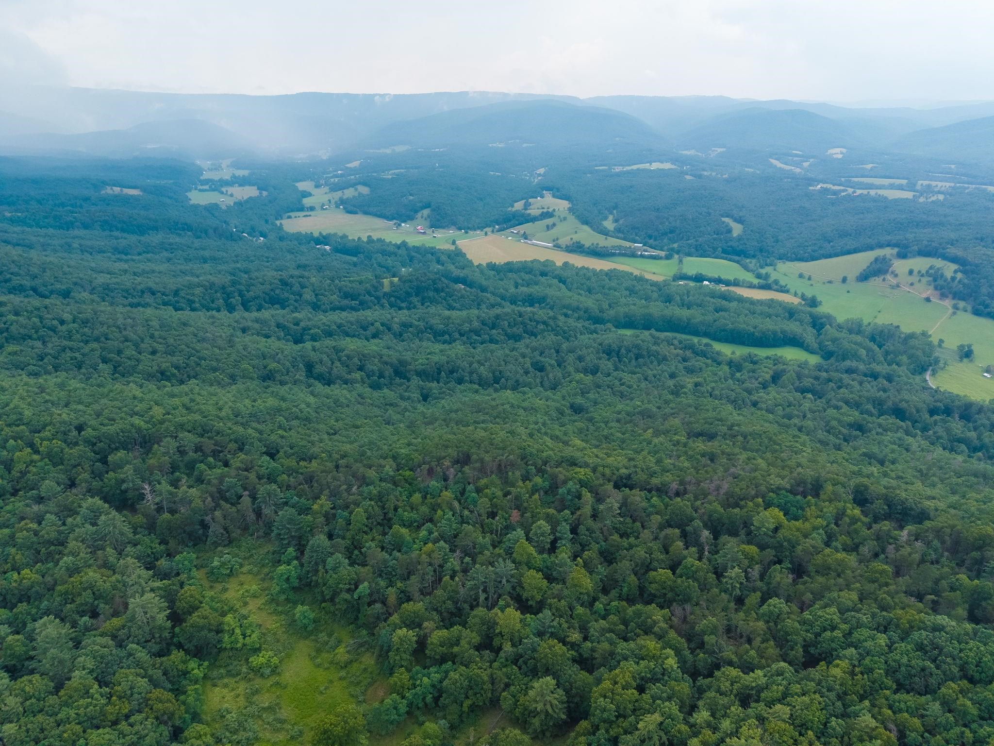 TBD CRIDERS RD, BERGTON, Virginia 22811, ,Farm,TBD CRIDERS RD,679349 MLS # 679349 TBD CRIDERS RD, BERGTON, Virginia 22811, ,Farm,TBD CRIDERS RD,679349 MLS # 679349