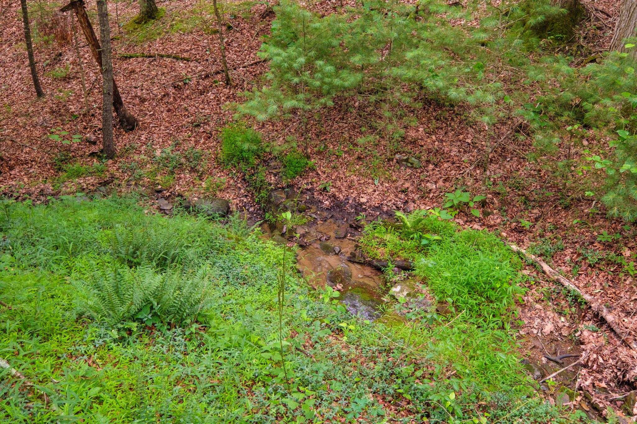 TBD CRIDERS RD, BERGTON, Virginia 22811, ,Farm,TBD CRIDERS RD,679349 MLS # 679349 TBD CRIDERS RD, BERGTON, Virginia 22811, ,Farm,TBD CRIDERS RD,679349 MLS # 679349