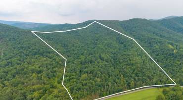 TBD CRIDERS RD, BERGTON, Virginia 22811, ,Farm,TBD CRIDERS RD,679349 MLS # 679349