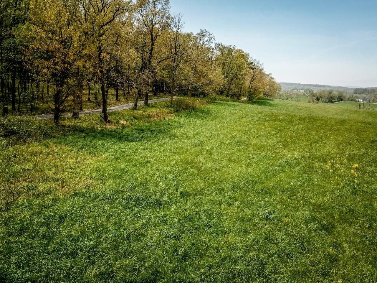 TBD GRASSLAND LN, BROADWAY, Virginia 22815, ,Land,TBD GRASSLAND LN,679352 MLS # 679352 TBD GRASSLAND LN, BROADWAY, Virginia 22815, ,Land,TBD GRASSLAND LN,679352 MLS # 679352