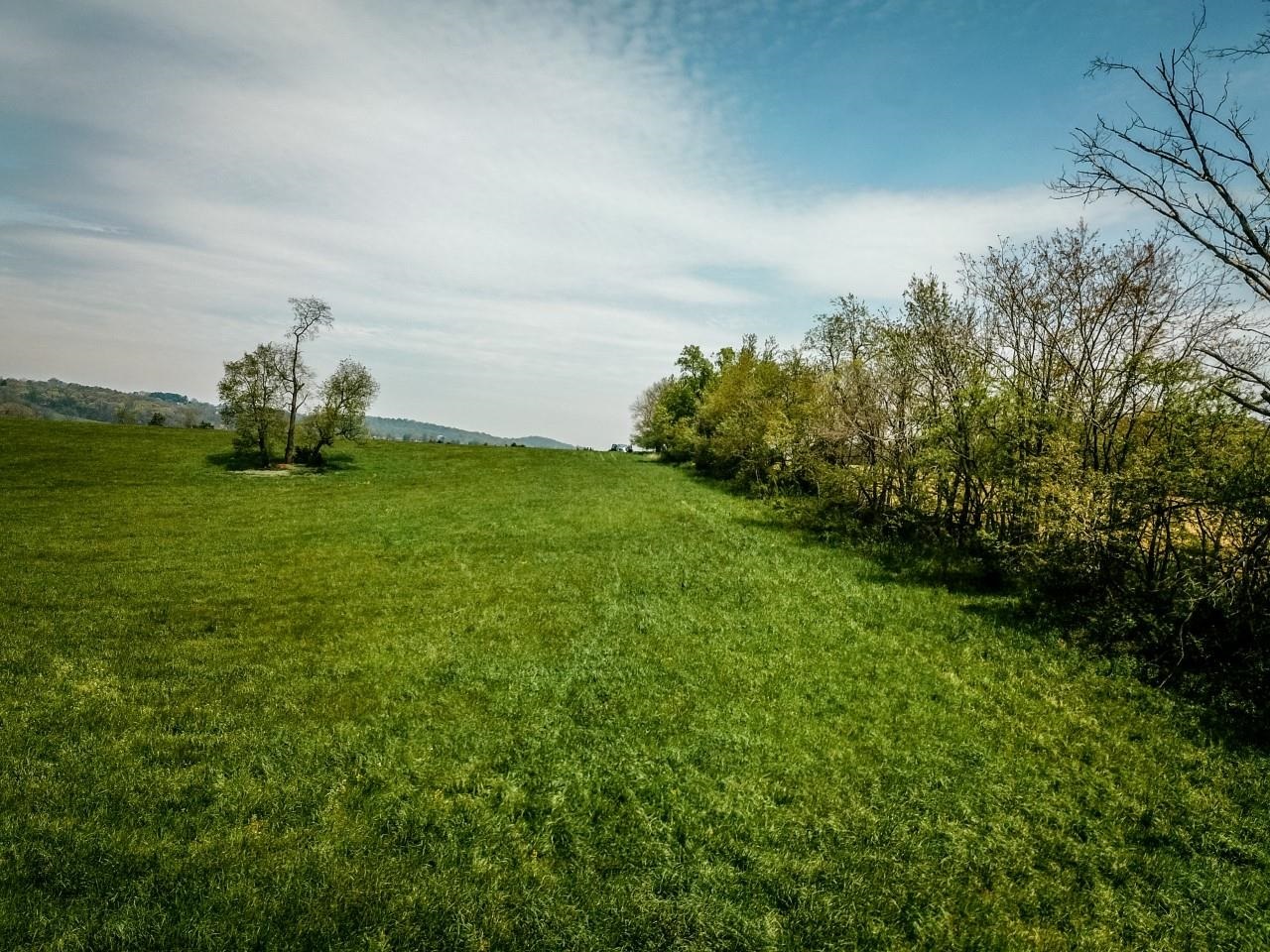 TBD GRASSLAND LN, BROADWAY, Virginia 22815, ,Land,TBD GRASSLAND LN,679352 MLS # 679352 TBD GRASSLAND LN, BROADWAY, Virginia 22815, ,Land,TBD GRASSLAND LN,679352 MLS # 679352