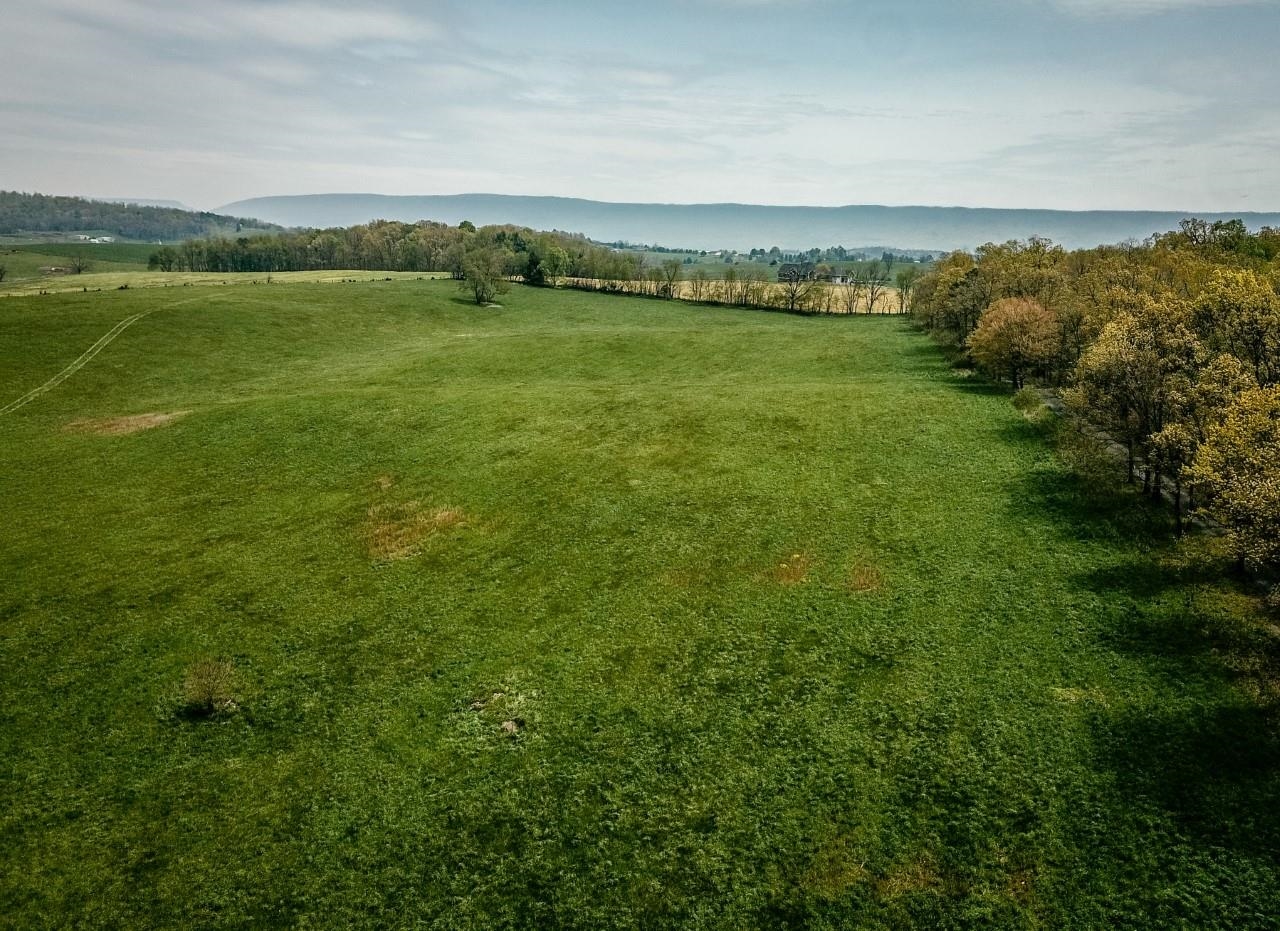 TBD GRASSLAND LN, BROADWAY, Virginia 22815, ,Land,TBD GRASSLAND LN,679352 MLS # 679352 TBD GRASSLAND LN, BROADWAY, Virginia 22815, ,Land,TBD GRASSLAND LN,679352 MLS # 679352