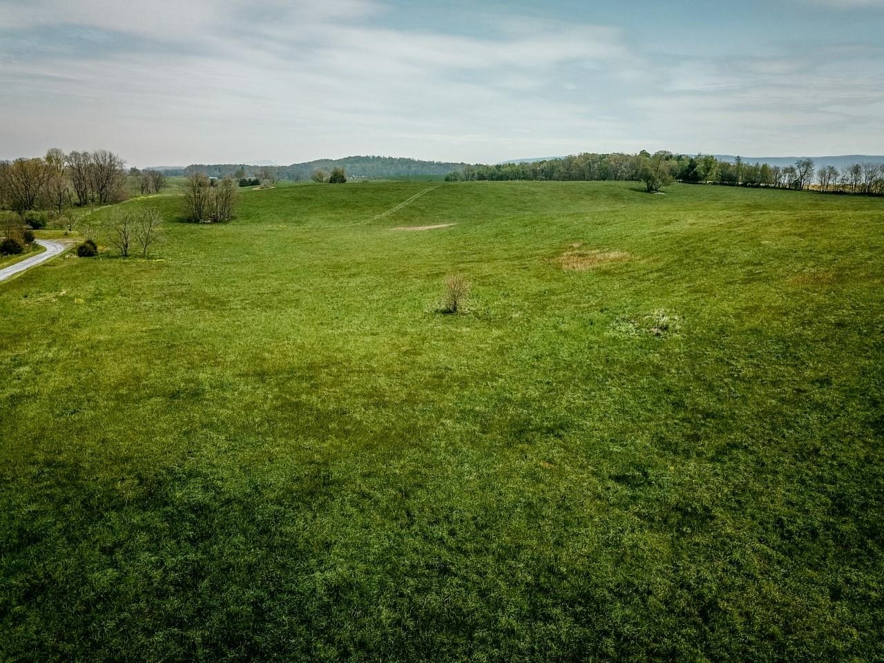 TBD GRASSLAND LN, BROADWAY, Virginia 22815, ,Land,TBD GRASSLAND LN,679352 MLS # 679352 TBD GRASSLAND LN, BROADWAY, Virginia 22815, ,Land,TBD GRASSLAND LN,679352 MLS # 679352
