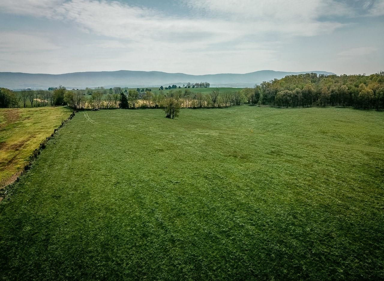 TBD GRASSLAND LN, BROADWAY, Virginia 22815, ,Land,TBD GRASSLAND LN,679352 MLS # 679352 TBD GRASSLAND LN, BROADWAY, Virginia 22815, ,Land,TBD GRASSLAND LN,679352 MLS # 679352