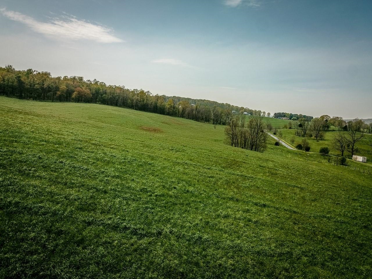 TBD GRASSLAND LN, BROADWAY, Virginia 22815, ,Land,TBD GRASSLAND LN,679352 MLS # 679352 TBD GRASSLAND LN, BROADWAY, Virginia 22815, ,Land,TBD GRASSLAND LN,679352 MLS # 679352