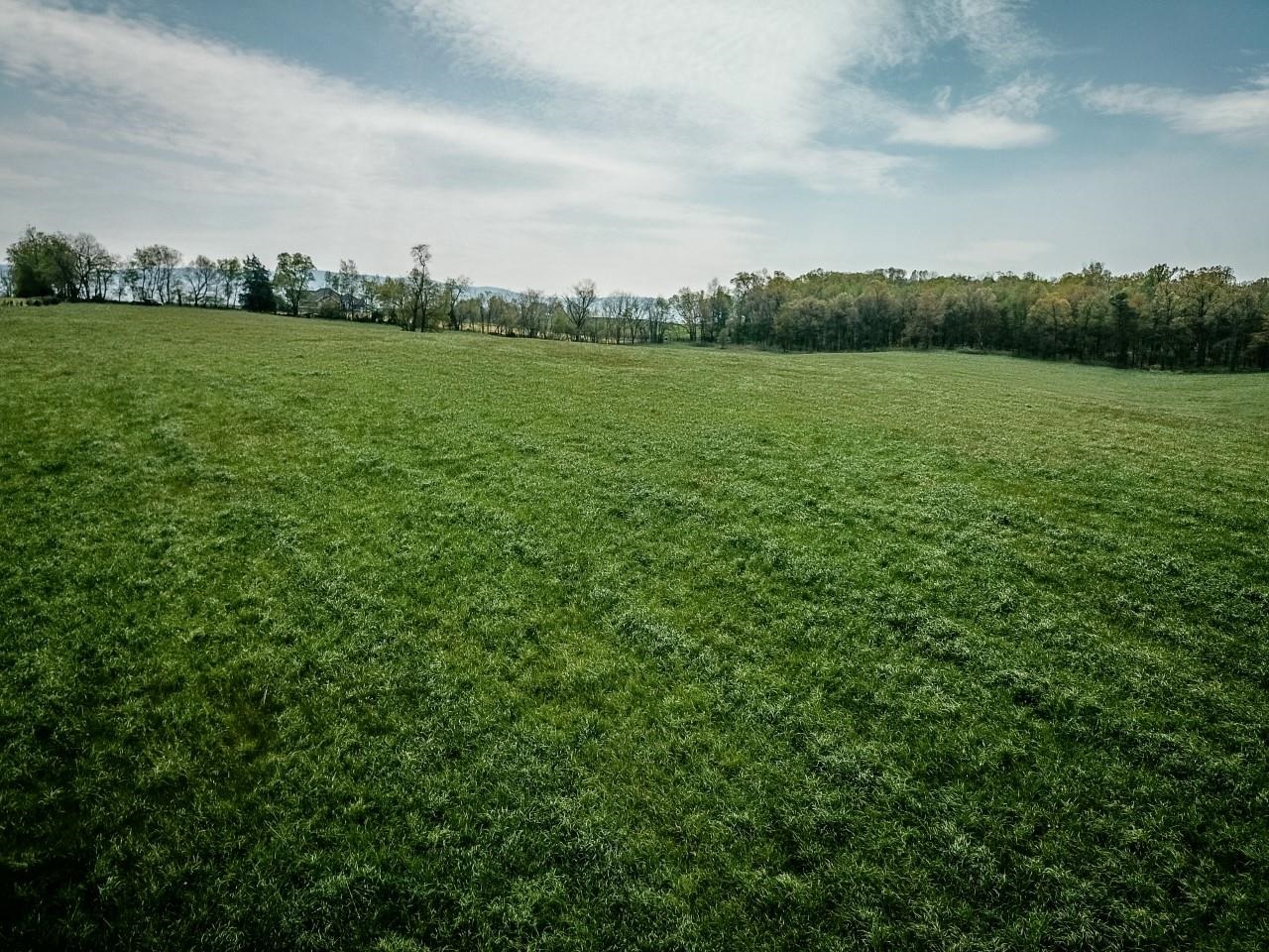 TBD GRASSLAND LN, BROADWAY, Virginia 22815, ,Land,TBD GRASSLAND LN,679352 MLS # 679352 TBD GRASSLAND LN, BROADWAY, Virginia 22815, ,Land,TBD GRASSLAND LN,679352 MLS # 679352
