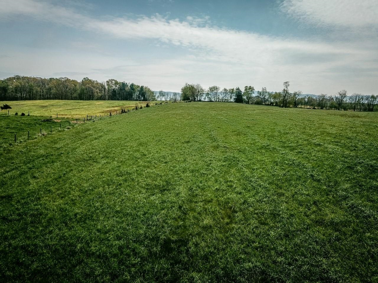 TBD GRASSLAND LN, BROADWAY, Virginia 22815, ,Land,TBD GRASSLAND LN,679352 MLS # 679352 TBD GRASSLAND LN, BROADWAY, Virginia 22815, ,Land,TBD GRASSLAND LN,679352 MLS # 679352