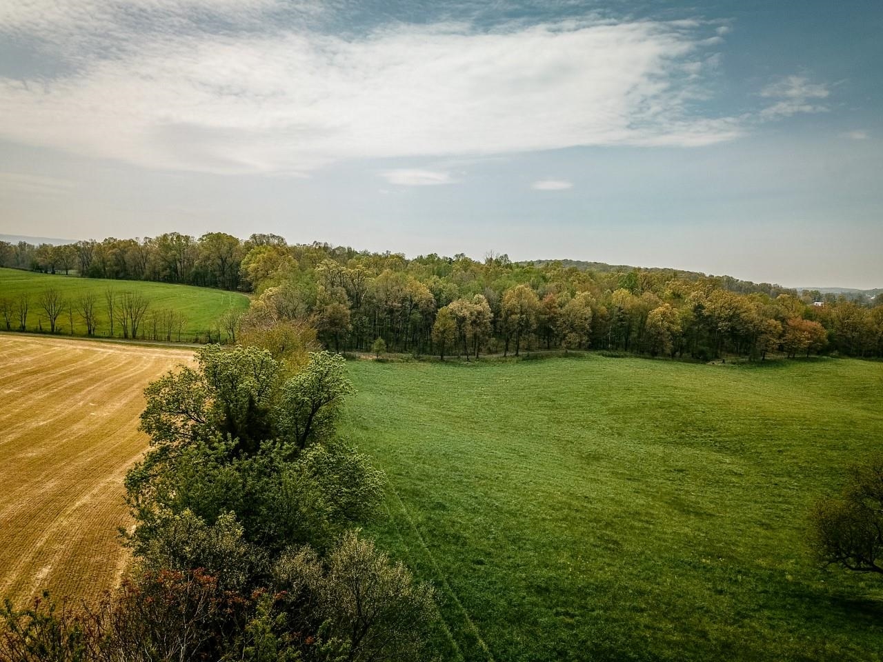 TBD GRASSLAND LN, BROADWAY, Virginia 22815, ,Land,TBD GRASSLAND LN,679352 MLS # 679352 TBD GRASSLAND LN, BROADWAY, Virginia 22815, ,Land,TBD GRASSLAND LN,679352 MLS # 679352