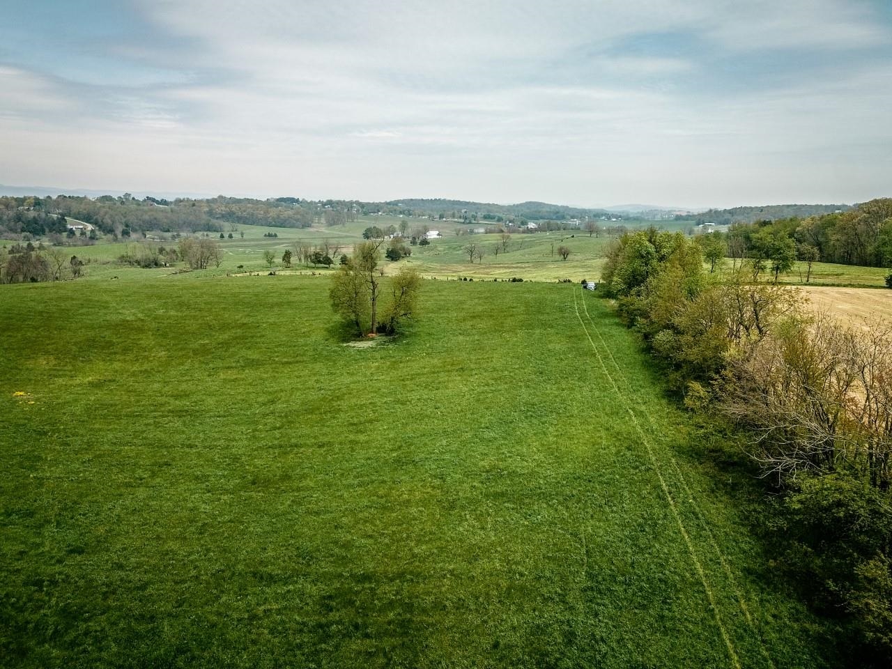 TBD GRASSLAND LN, BROADWAY, Virginia 22815, ,Land,TBD GRASSLAND LN,679352 MLS # 679352 TBD GRASSLAND LN, BROADWAY, Virginia 22815, ,Land,TBD GRASSLAND LN,679352 MLS # 679352