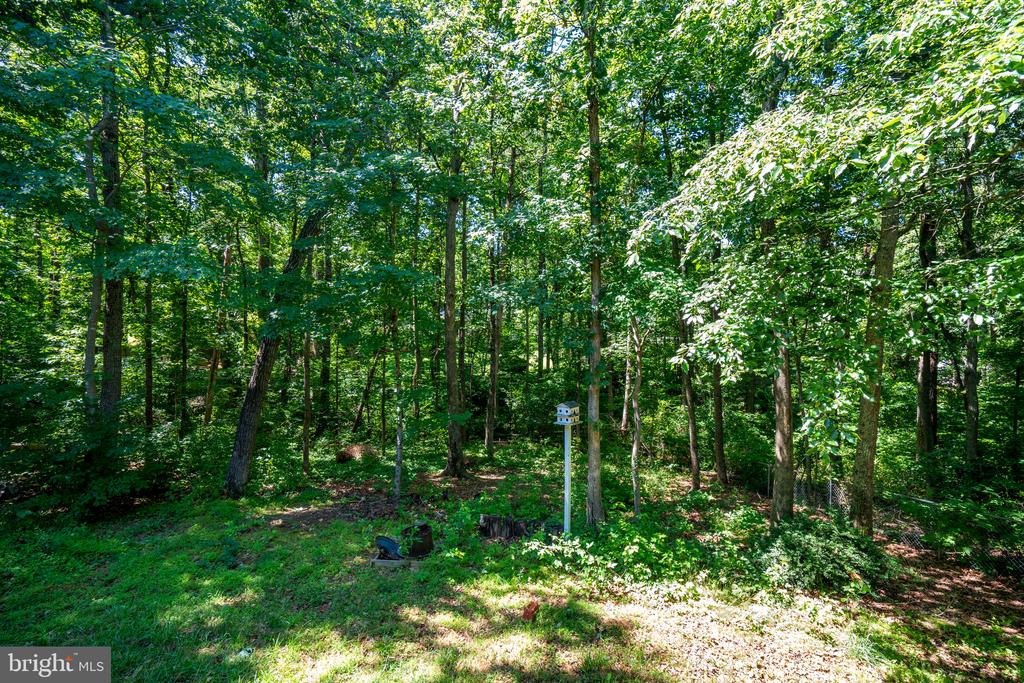 12816 GARRISON LN, SPOTSYLVANIA, Virginia 22551, 4 Bedrooms Bedrooms, ,3 BathroomsBathrooms,Residential,12816 GARRISON LN,VASP2042766 MLS # VASP2042766 12816 GARRISON LN, SPOTSYLVANIA, Virginia 22551, 4 Bedrooms Bedrooms, ,3 BathroomsBathrooms,Residential,12816 GARRISON LN,VASP2042766 MLS # VASP2042766