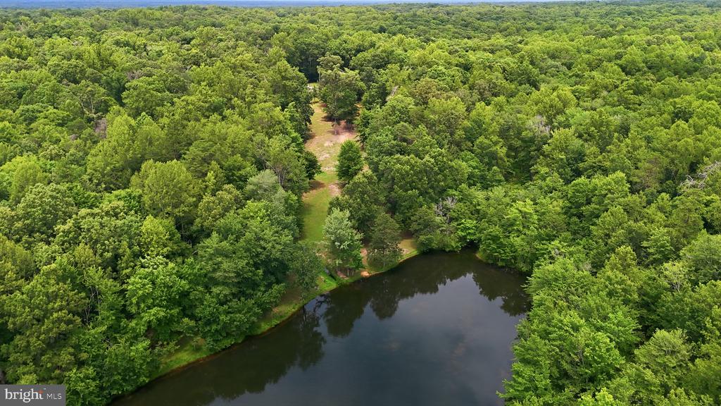 4407 WHITETAIL LN, BEALETON, Virginia 22712, 5 Bedrooms Bedrooms, ,5 BathroomsBathrooms,Residential,4407 WHITETAIL LN,VAFQ2022954 MLS # VAFQ2022954 4407 WHITETAIL LN, BEALETON, Virginia 22712, 5 Bedrooms Bedrooms, ,5 BathroomsBathrooms,Residential,4407 WHITETAIL LN,VAFQ2022954 MLS # VAFQ2022954