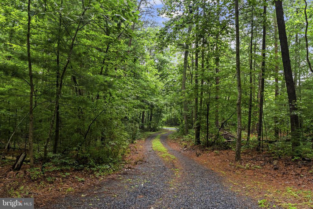 554 ARRINGTON MOUNTAIN RD, HAYWOOD, Virginia 22722, 3 Bedrooms Bedrooms, ,2 BathroomsBathrooms,Residential,554 ARRINGTON MOUNTAIN RD,VAMA2002856 MLS # VAMA2002856 554 ARRINGTON MOUNTAIN RD, HAYWOOD, Virginia 22722, 3 Bedrooms Bedrooms, ,2 BathroomsBathrooms,Residential,554 ARRINGTON MOUNTAIN RD,VAMA2002856 MLS # VAMA2002856