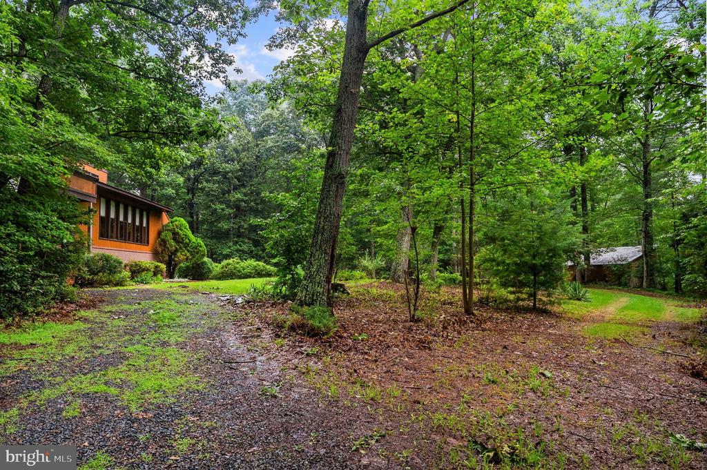 554 ARRINGTON MOUNTAIN RD, HAYWOOD, Virginia 22722, 3 Bedrooms Bedrooms, ,2 BathroomsBathrooms,Residential,554 ARRINGTON MOUNTAIN RD,VAMA2002856 MLS # VAMA2002856 554 ARRINGTON MOUNTAIN RD, HAYWOOD, Virginia 22722, 3 Bedrooms Bedrooms, ,2 BathroomsBathrooms,Residential,554 ARRINGTON MOUNTAIN RD,VAMA2002856 MLS # VAMA2002856