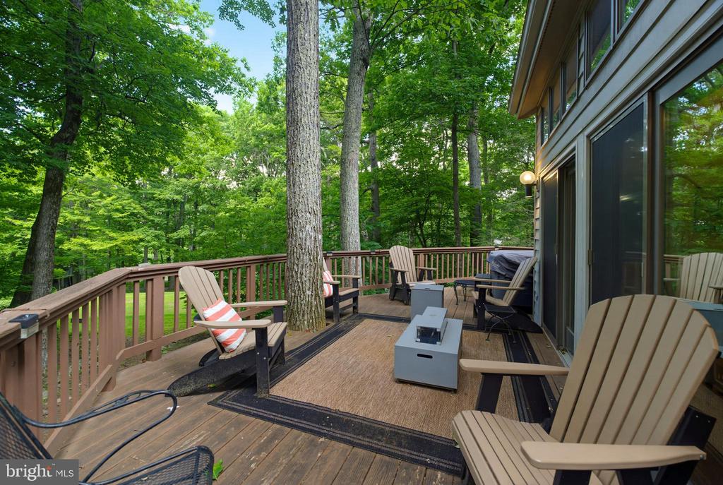 52 DEER SPRINGS LN, ROSELAND, Virginia 22967, 3 Bedrooms Bedrooms, ,3 BathroomsBathrooms,Residential,52 DEER SPRINGS LN,VANL2000698 MLS # VANL2000698 52 DEER SPRINGS LN, ROSELAND, Virginia 22967, 3 Bedrooms Bedrooms, ,3 BathroomsBathrooms,Residential,52 DEER SPRINGS LN,VANL2000698 MLS # VANL2000698