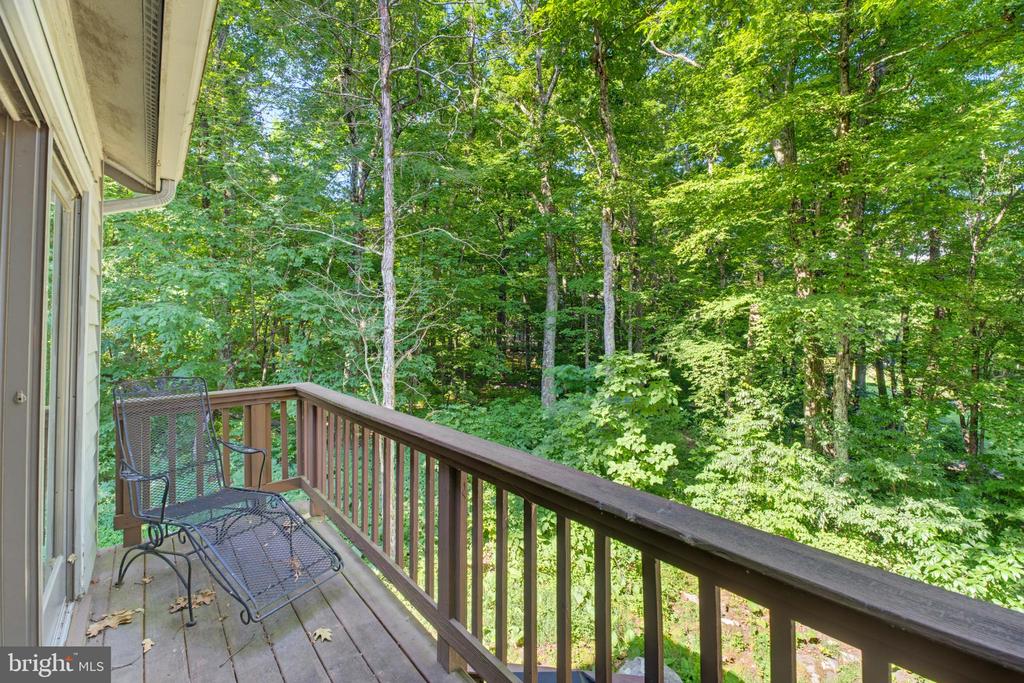 52 DEER SPRINGS LN, ROSELAND, Virginia 22967, 3 Bedrooms Bedrooms, ,3 BathroomsBathrooms,Residential,52 DEER SPRINGS LN,VANL2000698 MLS # VANL2000698 52 DEER SPRINGS LN, ROSELAND, Virginia 22967, 3 Bedrooms Bedrooms, ,3 BathroomsBathrooms,Residential,52 DEER SPRINGS LN,VANL2000698 MLS # VANL2000698