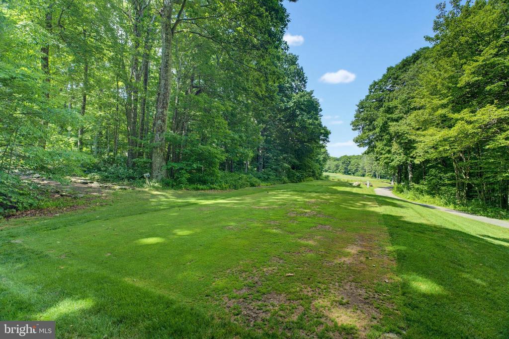 52 DEER SPRINGS LN, ROSELAND, Virginia 22967, 3 Bedrooms Bedrooms, ,3 BathroomsBathrooms,Residential,52 DEER SPRINGS LN,VANL2000698 MLS # VANL2000698 52 DEER SPRINGS LN, ROSELAND, Virginia 22967, 3 Bedrooms Bedrooms, ,3 BathroomsBathrooms,Residential,52 DEER SPRINGS LN,VANL2000698 MLS # VANL2000698