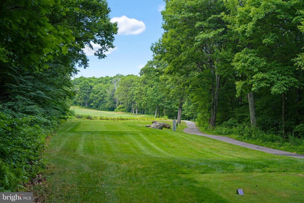 52 DEER SPRINGS LN, ROSELAND, Virginia 22967, 3 Bedrooms Bedrooms, ,3 BathroomsBathrooms,Residential,52 DEER SPRINGS LN,VANL2000698 MLS # VANL2000698 52 DEER SPRINGS LN, ROSELAND, Virginia 22967, 3 Bedrooms Bedrooms, ,3 BathroomsBathrooms,Residential,52 DEER SPRINGS LN,VANL2000698 MLS # VANL2000698