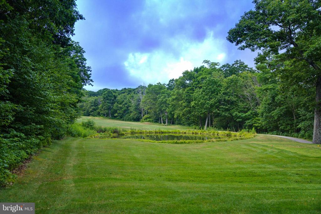 52 DEER SPRINGS LN, ROSELAND, Virginia 22967, 3 Bedrooms Bedrooms, ,3 BathroomsBathrooms,Residential,52 DEER SPRINGS LN,VANL2000698 MLS # VANL2000698 52 DEER SPRINGS LN, ROSELAND, Virginia 22967, 3 Bedrooms Bedrooms, ,3 BathroomsBathrooms,Residential,52 DEER SPRINGS LN,VANL2000698 MLS # VANL2000698