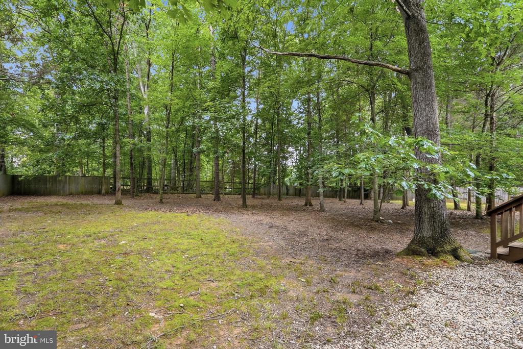 9088 WOODBROOK LN, CULPEPER, Virginia 22701, 4 Bedrooms Bedrooms, ,3 BathroomsBathrooms,Residential,9088 WOODBROOK LN,VACU2014404 MLS # VACU2014404 9088 WOODBROOK LN, CULPEPER, Virginia 22701, 4 Bedrooms Bedrooms, ,3 BathroomsBathrooms,Residential,9088 WOODBROOK LN,VACU2014404 MLS # VACU2014404