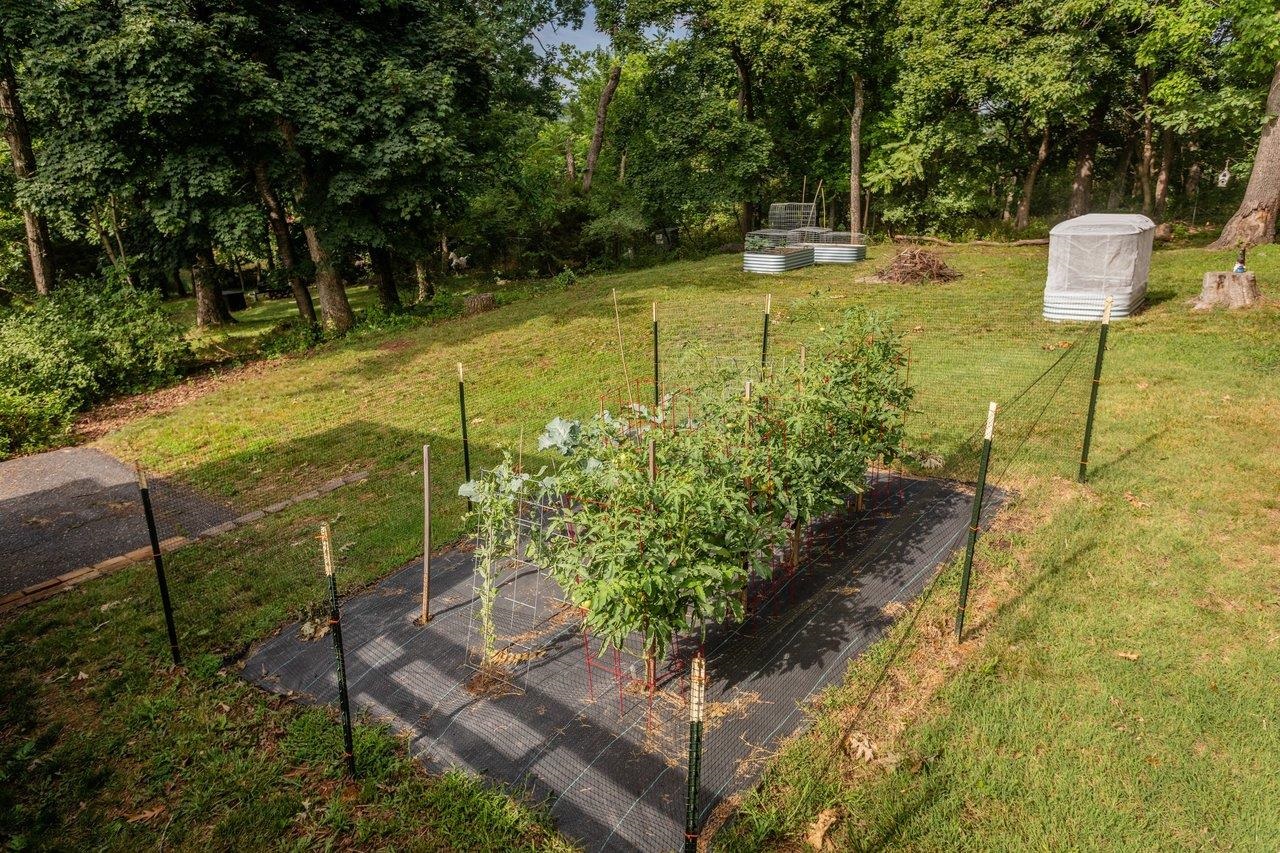 585 HILLTOP DR, STAUNTON, Virginia 24401, 5 Bedrooms Bedrooms, ,2 BathroomsBathrooms,Residential,585 HILLTOP DR,679350 MLS # 679350 585 HILLTOP DR, STAUNTON, Virginia 24401, 5 Bedrooms Bedrooms, ,2 BathroomsBathrooms,Residential,585 HILLTOP DR,679350 MLS # 679350
