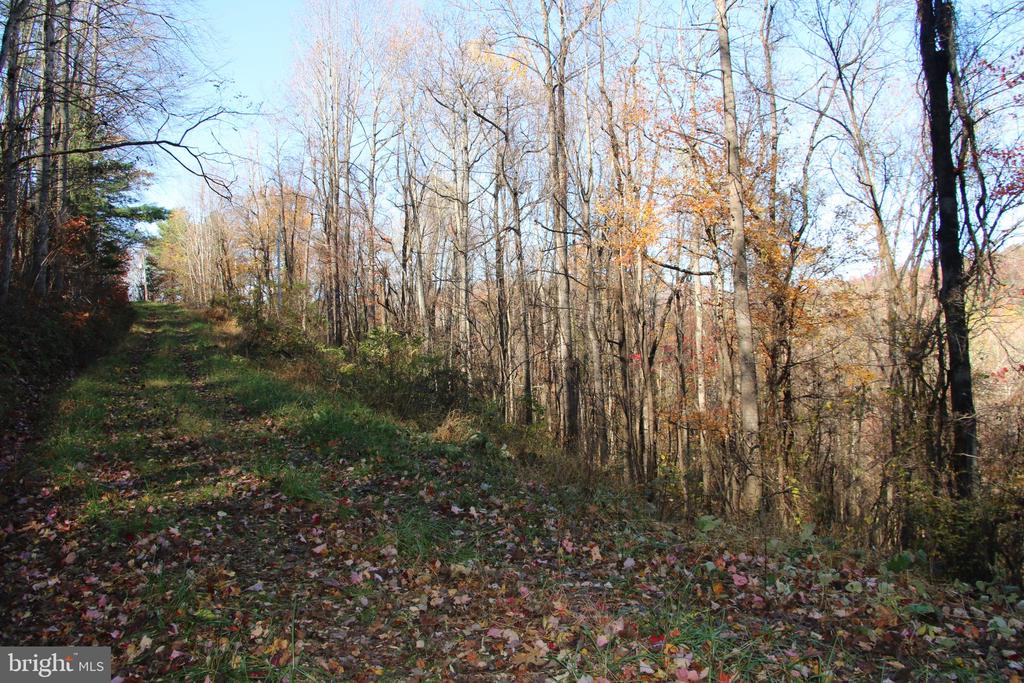 00 OVERLOOK MOUNTAIN RD, ELKTON, Virginia 22827, ,Land,00 OVERLOOK MOUNTAIN RD,VAPA2006652 MLS # VAPA2006652