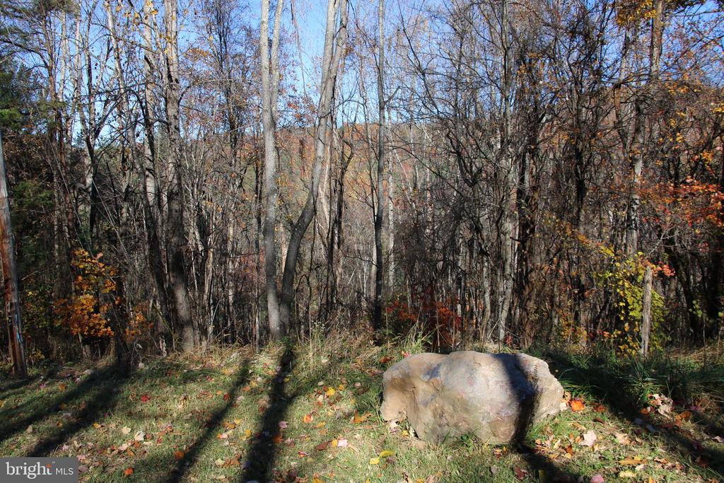 00 OVERLOOK MOUNTAIN RD, ELKTON, Virginia 22827, ,Land,00 OVERLOOK MOUNTAIN RD,VAPA2006652 MLS # VAPA2006652