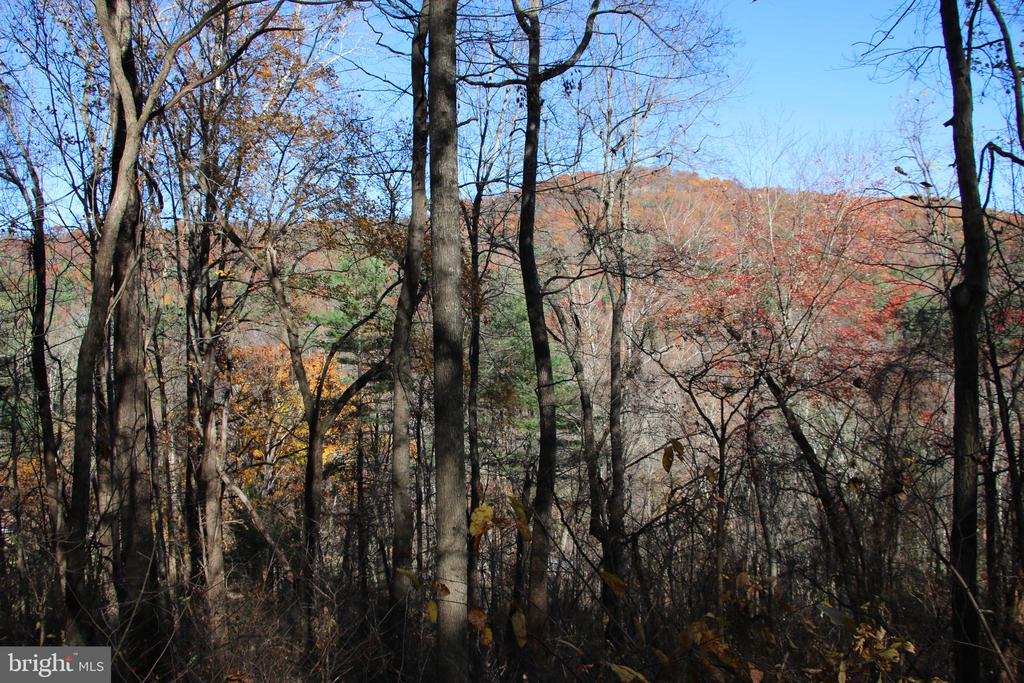 00 OVERLOOK MOUNTAIN RD, ELKTON, Virginia 22827, ,Land,00 OVERLOOK MOUNTAIN RD,VAPA2006652 MLS # VAPA2006652