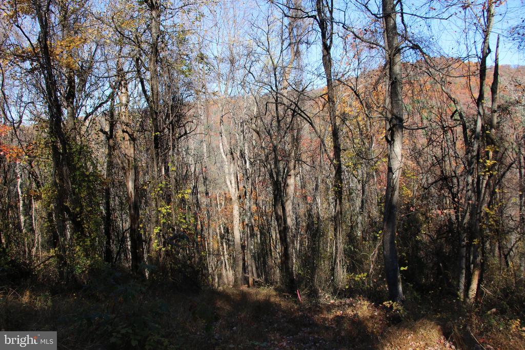 00 OVERLOOK MOUNTAIN RD, ELKTON, Virginia 22827, ,Land,00 OVERLOOK MOUNTAIN RD,VAPA2006652 MLS # VAPA2006652