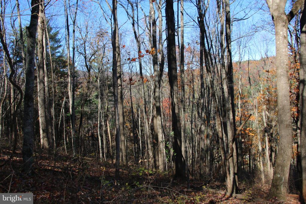 00 OVERLOOK MOUNTAIN RD, ELKTON, Virginia 22827, ,Land,00 OVERLOOK MOUNTAIN RD,VAPA2006652 MLS # VAPA2006652