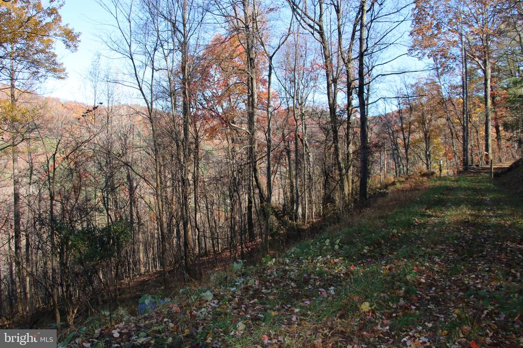 00 OVERLOOK MOUNTAIN RD, ELKTON, Virginia 22827, ,Land,00 OVERLOOK MOUNTAIN RD,VAPA2006652 MLS # VAPA2006652