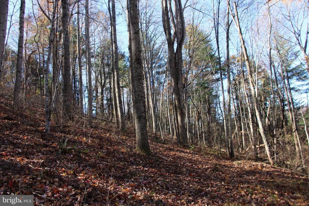 00 OVERLOOK MOUNTAIN RD, ELKTON, Virginia 22827, ,Land,00 OVERLOOK MOUNTAIN RD,VAPA2006652 MLS # VAPA2006652