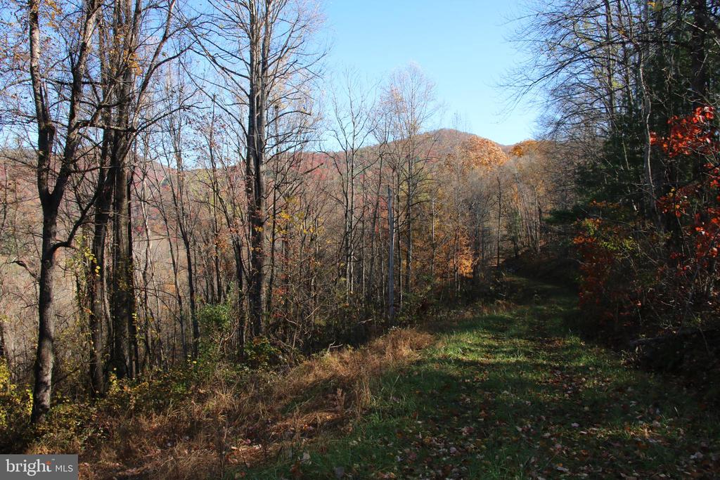 00 OVERLOOK MOUNTAIN RD, ELKTON, Virginia 22827, ,Land,00 OVERLOOK MOUNTAIN RD,VAPA2006652 MLS # VAPA2006652