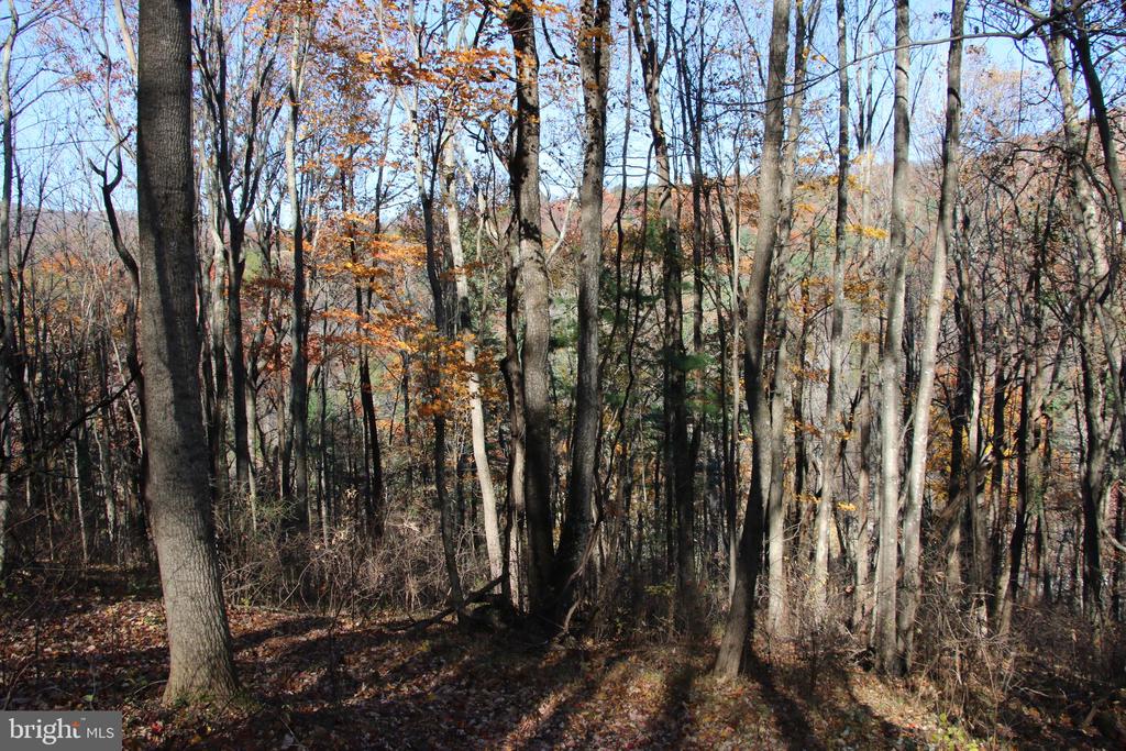 00 OVERLOOK MOUNTAIN RD, ELKTON, Virginia 22827, ,Land,00 OVERLOOK MOUNTAIN RD,VAPA2006652 MLS # VAPA2006652