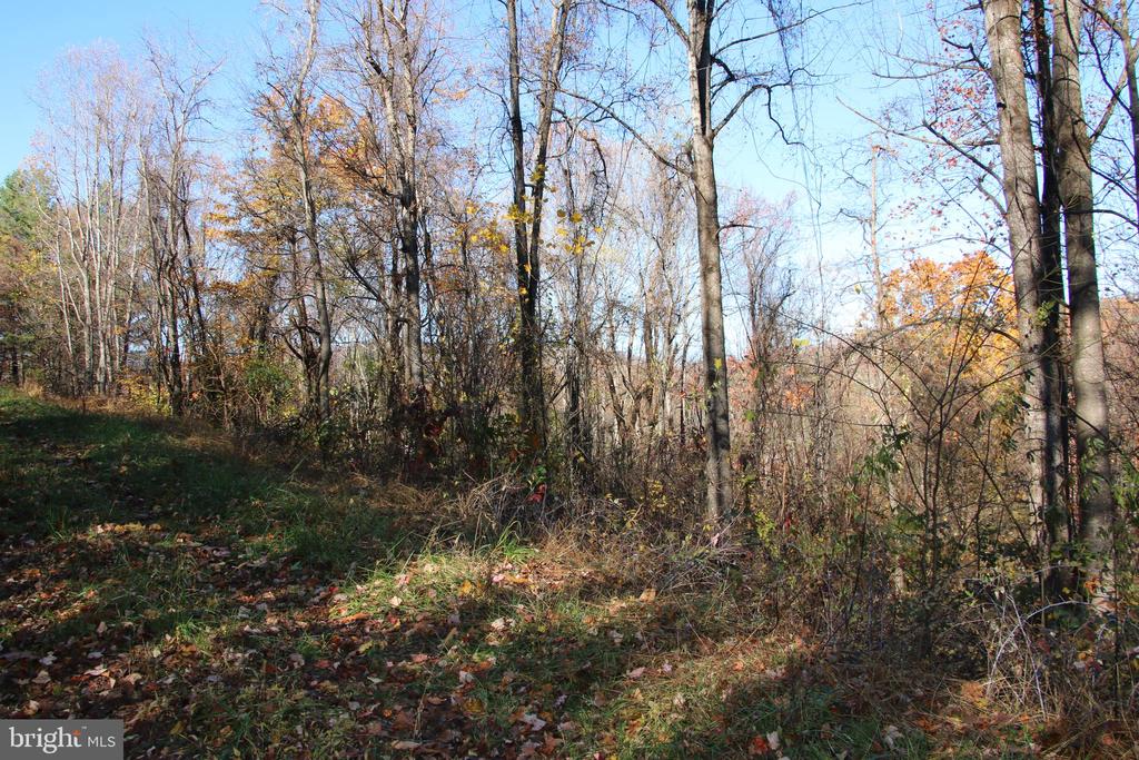 00 OVERLOOK MOUNTAIN RD, ELKTON, Virginia 22827, ,Land,00 OVERLOOK MOUNTAIN RD,VAPA2006652 MLS # VAPA2006652