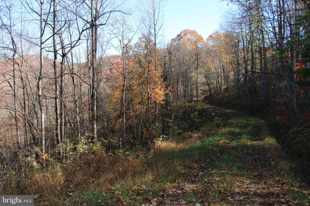 00 OVERLOOK MOUNTAIN RD, ELKTON, Virginia 22827, ,Land,00 OVERLOOK MOUNTAIN RD,VAPA2006652 MLS # VAPA2006652