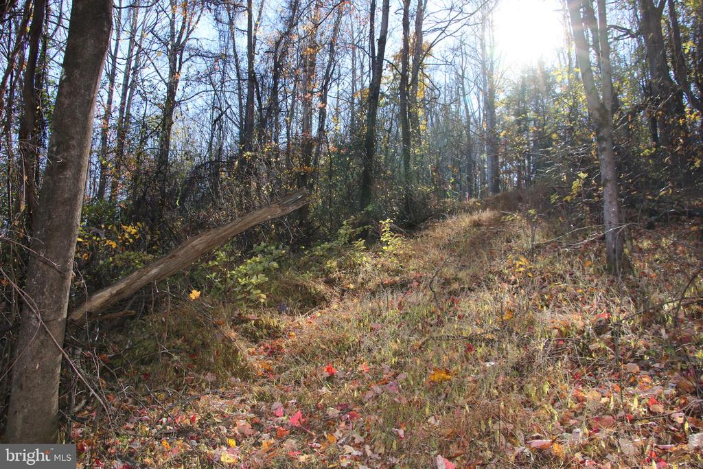 00 OVERLOOK MOUNTAIN RD, ELKTON, Virginia 22827, ,Land,00 OVERLOOK MOUNTAIN RD,VAPA2006652 MLS # VAPA2006652