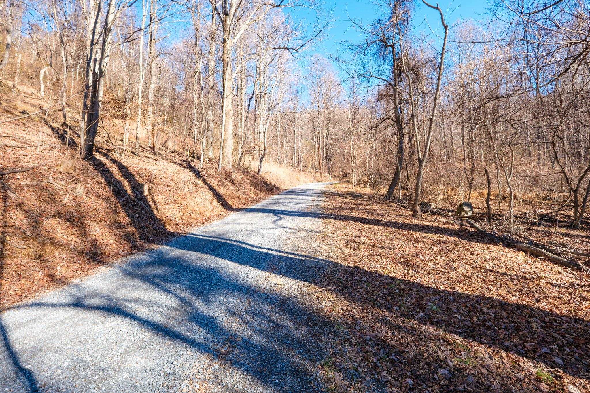TBD1 FOREST HOMES DR, ELKTON, Virginia 22827, ,Land,TBD1 FOREST HOMES DR,679366 MLS # 679366 TBD1 FOREST HOMES DR, ELKTON, Virginia 22827, ,Land,TBD1 FOREST HOMES DR,679366 MLS # 679366