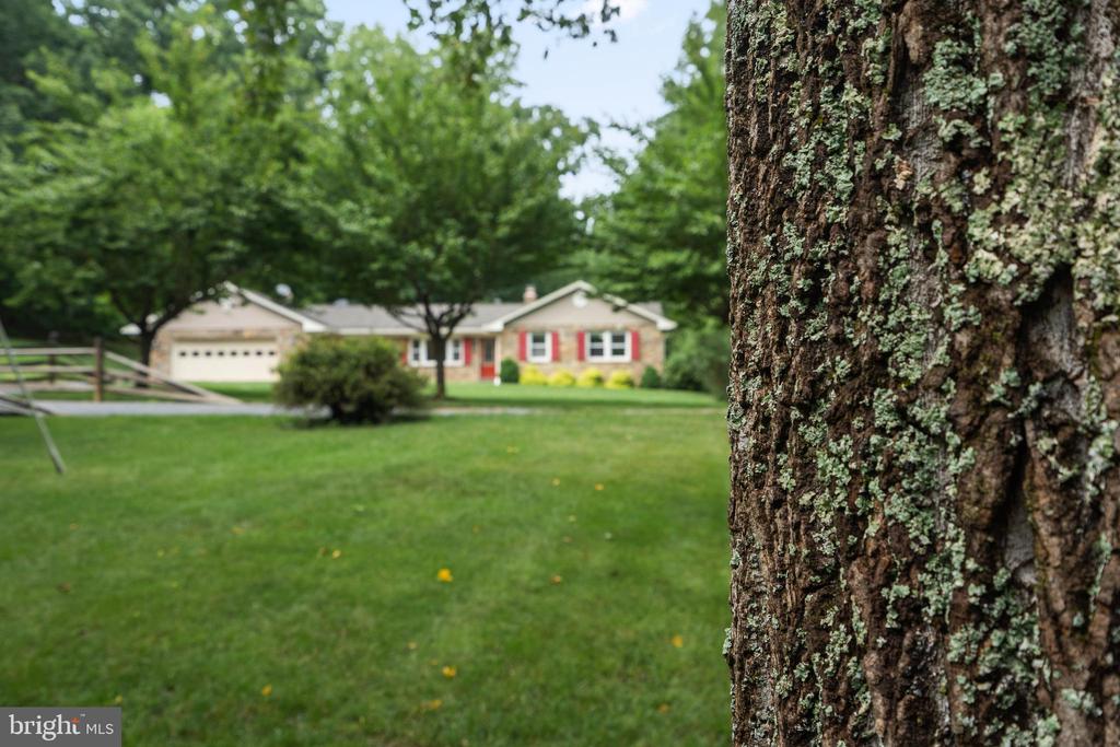 9808 TIMBER HTS, MARSHALL, Virginia 20115, 4 Bedrooms Bedrooms, ,3 BathroomsBathrooms,Residential,9808 TIMBER HTS,VAFQ2022790 MLS # VAFQ2022790 9808 TIMBER HTS, MARSHALL, Virginia 20115, 4 Bedrooms Bedrooms, ,3 BathroomsBathrooms,Residential,9808 TIMBER HTS,VAFQ2022790 MLS # VAFQ2022790