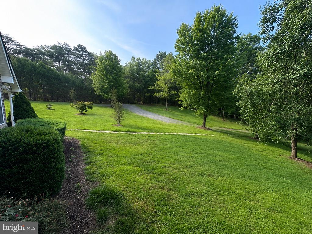 20200 OLD MILL RD, CULPEPER, Virginia 22701, 3 Bedrooms Bedrooms, ,2 BathroomsBathrooms,Residential,20200 OLD MILL RD,VACU2014262 MLS # VACU2014262 20200 OLD MILL RD, CULPEPER, Virginia 22701, 3 Bedrooms Bedrooms, ,2 BathroomsBathrooms,Residential,20200 OLD MILL RD,VACU2014262 MLS # VACU2014262