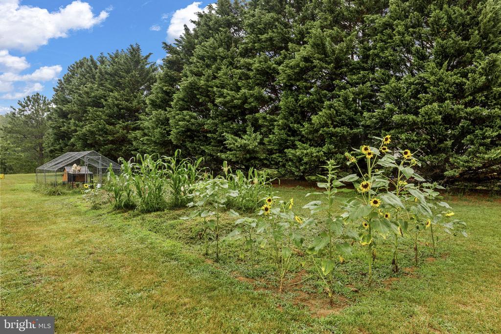 31185 PRICE RD, LOCUST GROVE, Virginia 22508, 3 Bedrooms Bedrooms, ,2 BathroomsBathrooms,Residential,31185 PRICE RD,VAOR2014584 MLS # VAOR2014584 31185 PRICE RD, LOCUST GROVE, Virginia 22508, 3 Bedrooms Bedrooms, ,2 BathroomsBathrooms,Residential,31185 PRICE RD,VAOR2014584 MLS # VAOR2014584