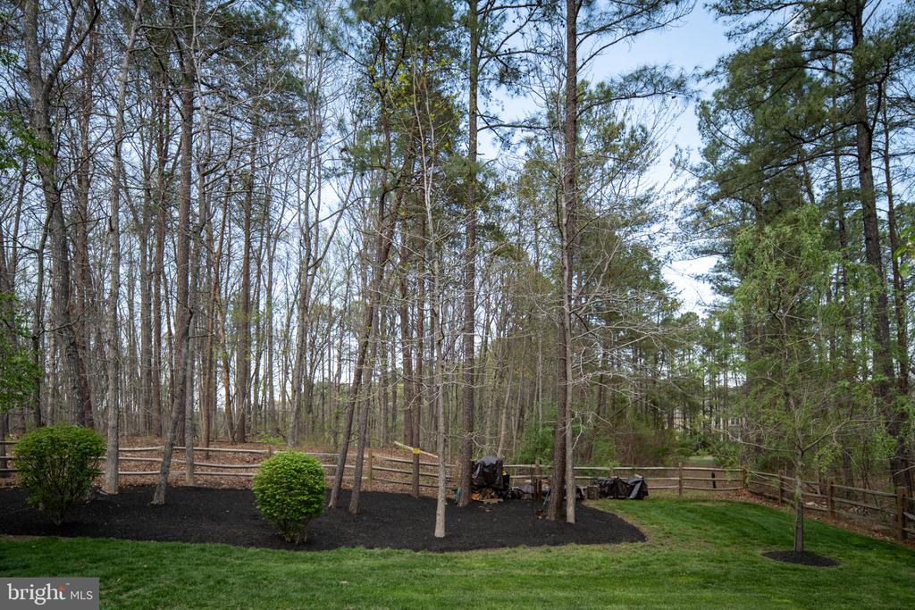 11613 PINE HOLLOW LN, SPOTSYLVANIA, Virginia 22551, 4 Bedrooms Bedrooms, ,3 BathroomsBathrooms,Residential,11613 PINE HOLLOW LN,VASP2043646 MLS # VASP2043646 11613 PINE HOLLOW LN, SPOTSYLVANIA, Virginia 22551, 4 Bedrooms Bedrooms, ,3 BathroomsBathrooms,Residential,11613 PINE HOLLOW LN,VASP2043646 MLS # VASP2043646