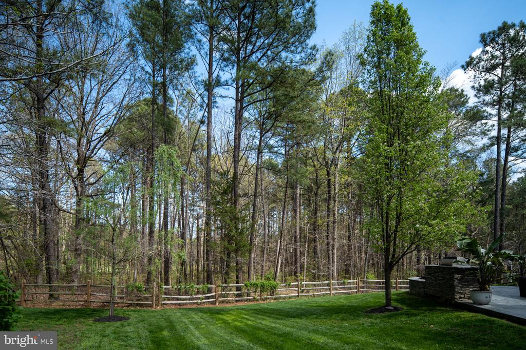 11613 PINE HOLLOW LN, SPOTSYLVANIA, Virginia 22551, 4 Bedrooms Bedrooms, ,3 BathroomsBathrooms,Residential,11613 PINE HOLLOW LN,VASP2043646 MLS # VASP2043646 11613 PINE HOLLOW LN, SPOTSYLVANIA, Virginia 22551, 4 Bedrooms Bedrooms, ,3 BathroomsBathrooms,Residential,11613 PINE HOLLOW LN,VASP2043646 MLS # VASP2043646