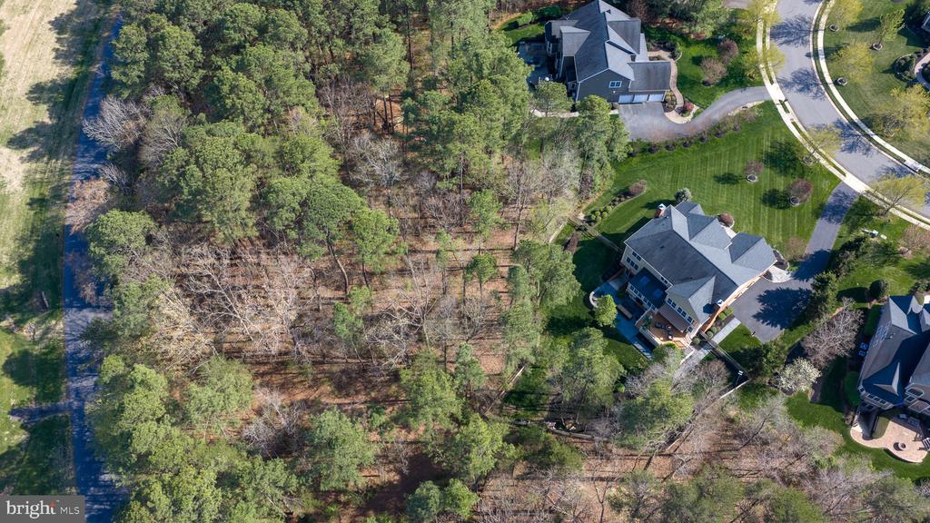 11613 PINE HOLLOW LN, SPOTSYLVANIA, Virginia 22551, 4 Bedrooms Bedrooms, ,3 BathroomsBathrooms,Residential,11613 PINE HOLLOW LN,VASP2043646 MLS # VASP2043646 11613 PINE HOLLOW LN, SPOTSYLVANIA, Virginia 22551, 4 Bedrooms Bedrooms, ,3 BathroomsBathrooms,Residential,11613 PINE HOLLOW LN,VASP2043646 MLS # VASP2043646