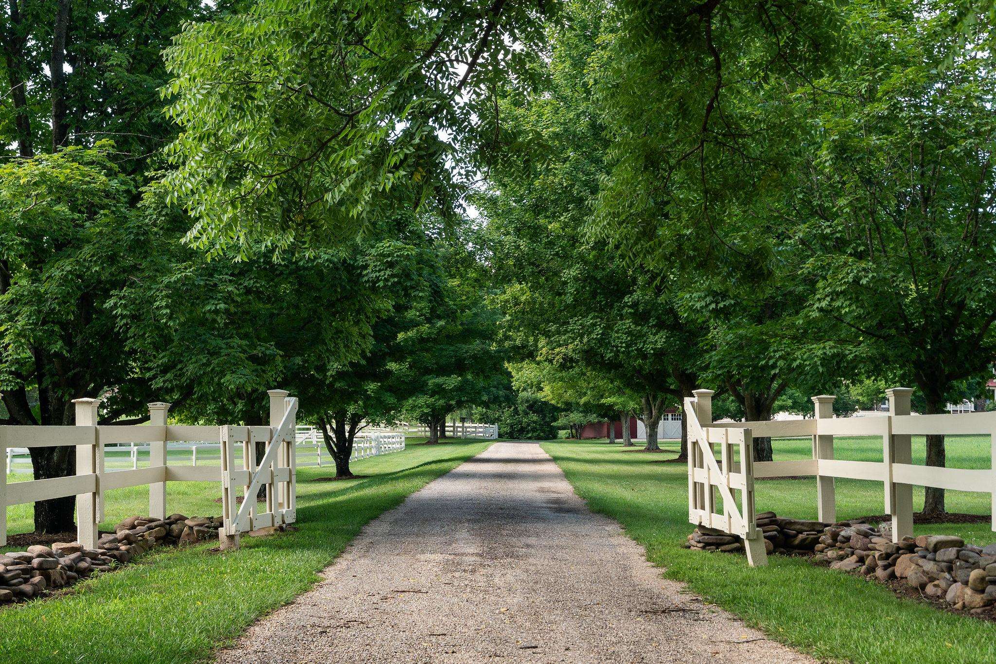 197 UNION HALL SCHOOL LN, SWOOPE, Virginia 24479, 3 Bedrooms Bedrooms, ,3 BathroomsBathrooms,Residential,Legacy Farm Estate,197 UNION HALL SCHOOL LN,679364 MLS # 679364 197 UNION HALL SCHOOL LN, SWOOPE, Virginia 24479, 3 Bedrooms Bedrooms, ,3 BathroomsBathrooms,Residential,Legacy Farm Estate,197 UNION HALL SCHOOL LN,679364 MLS # 679364