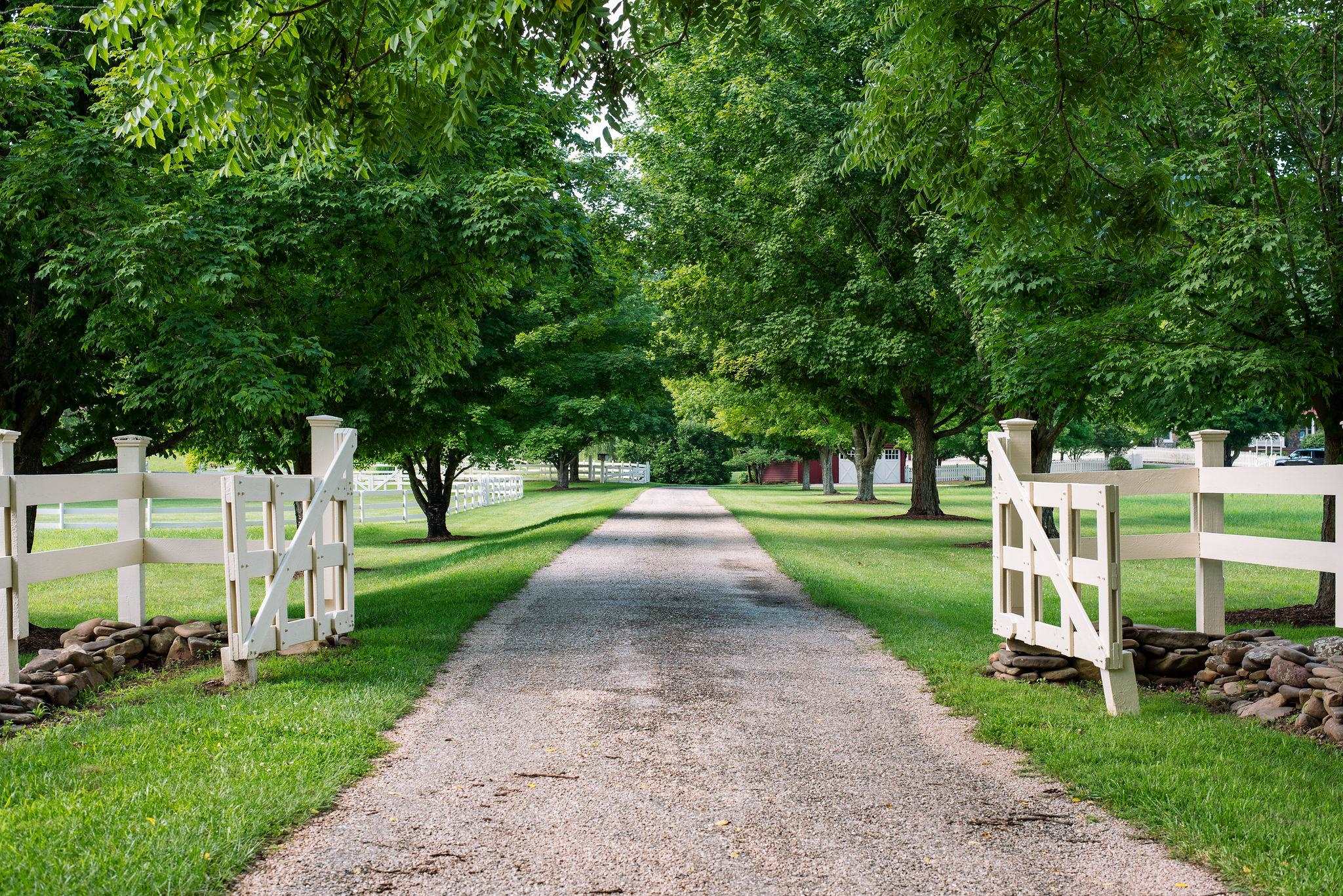197 UNION HALL SCHOOL LN, SWOOPE, Virginia 24479, 3 Bedrooms Bedrooms, ,3 BathroomsBathrooms,Residential,Legacy Farm Estate,197 UNION HALL SCHOOL LN,679364 MLS # 679364 197 UNION HALL SCHOOL LN, SWOOPE, Virginia 24479, 3 Bedrooms Bedrooms, ,3 BathroomsBathrooms,Residential,Legacy Farm Estate,197 UNION HALL SCHOOL LN,679364 MLS # 679364